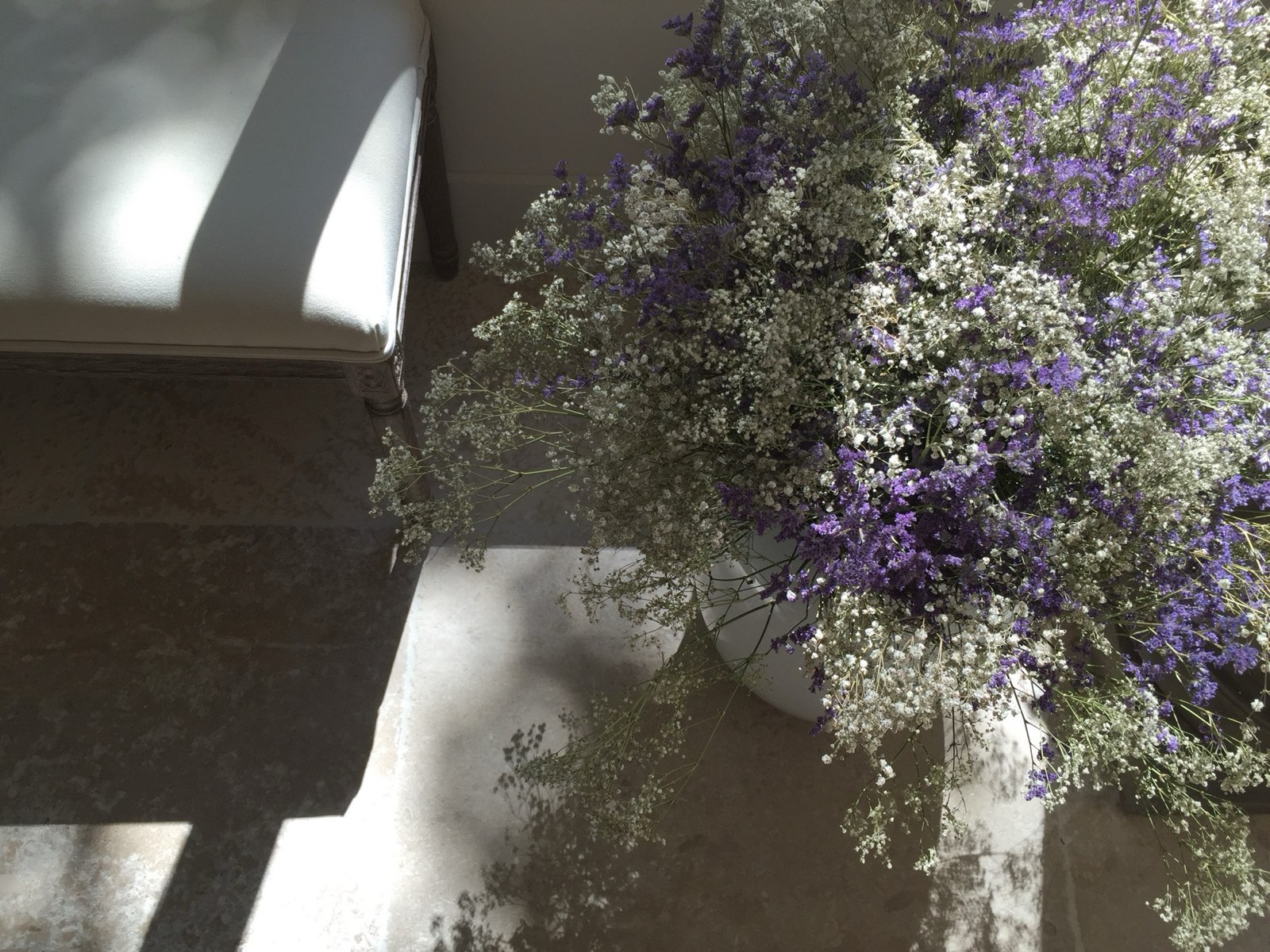 Gypsophila and purple statice in a white vase